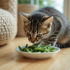 Can Cats Eat Green Beans